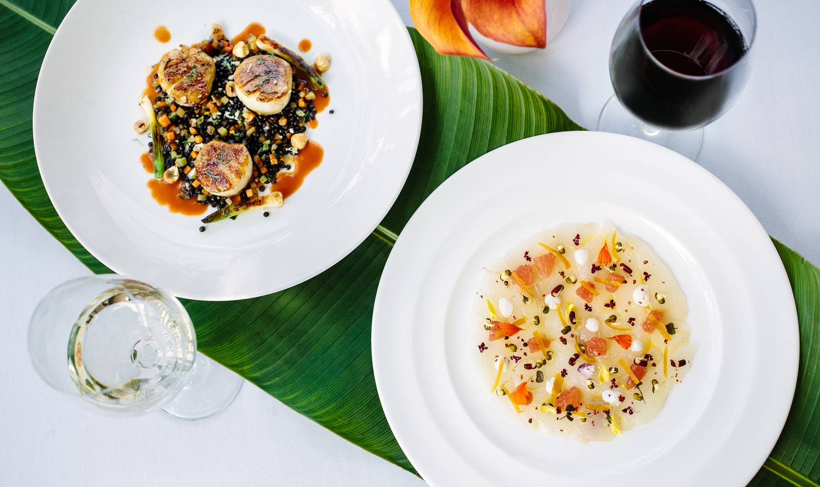 atlantis fine dining cafe martinique entrees paired with wine