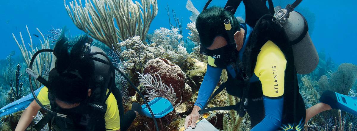 atlantis underwater coral reef scuba diving blue project lr