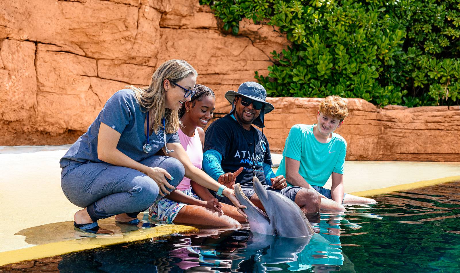 atlantis marine programs dolphin cay sea life vet