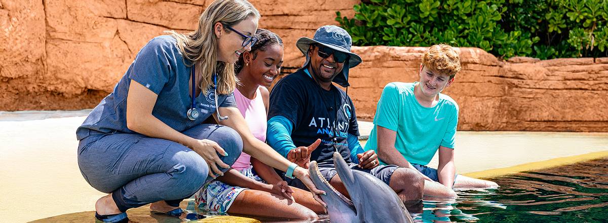 sea life vet web 1500x750