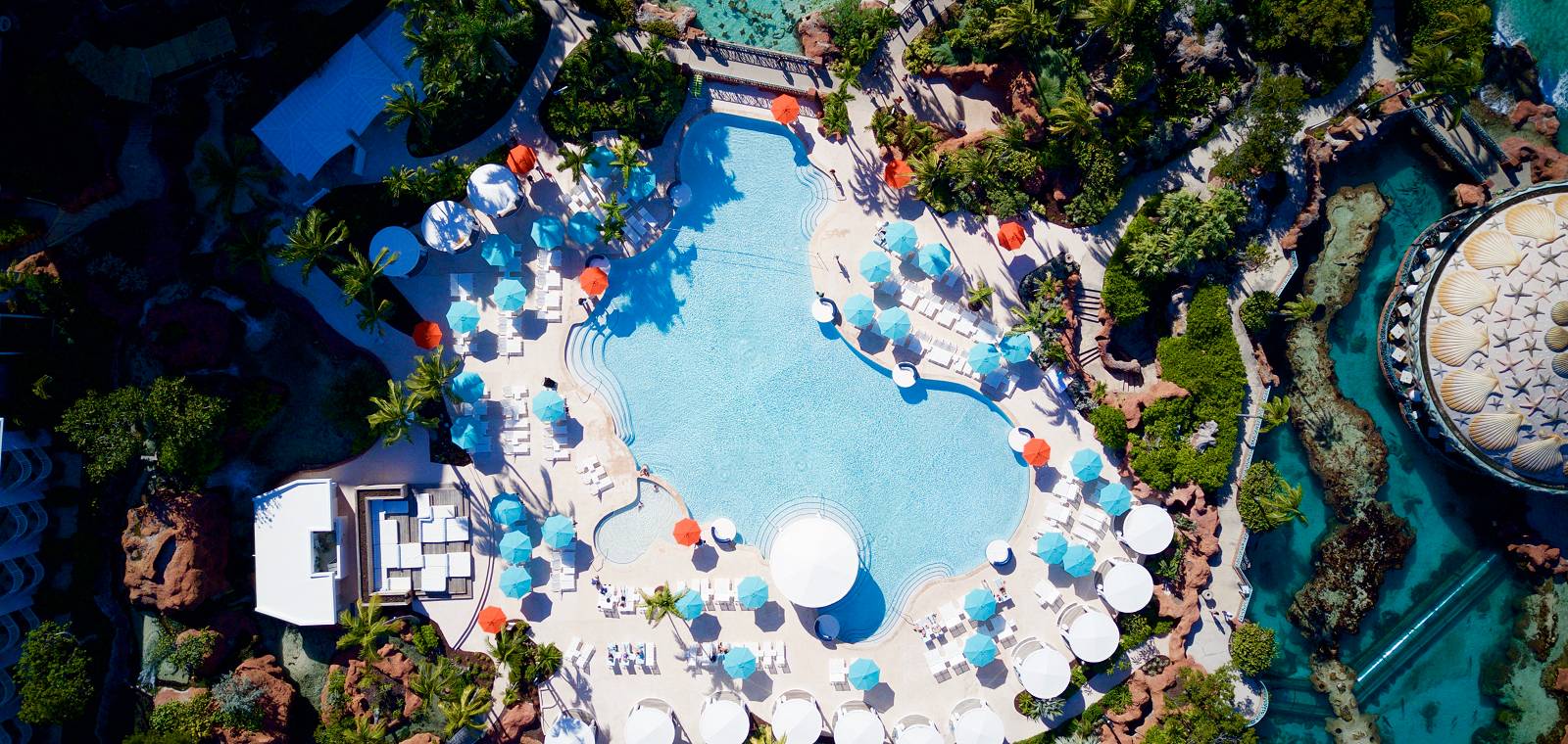 the coral pool overhead view
